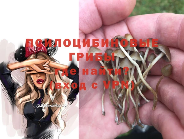 марки nbome Лабытнанги