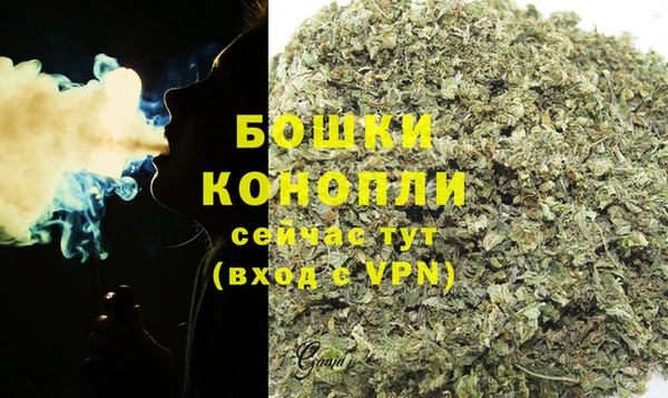 дурь Горнозаводск