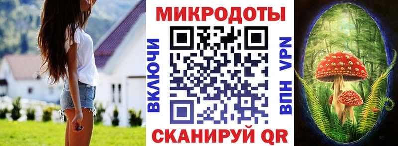 Псилоцибиновые грибы мицелий  kraken tor  Емва 